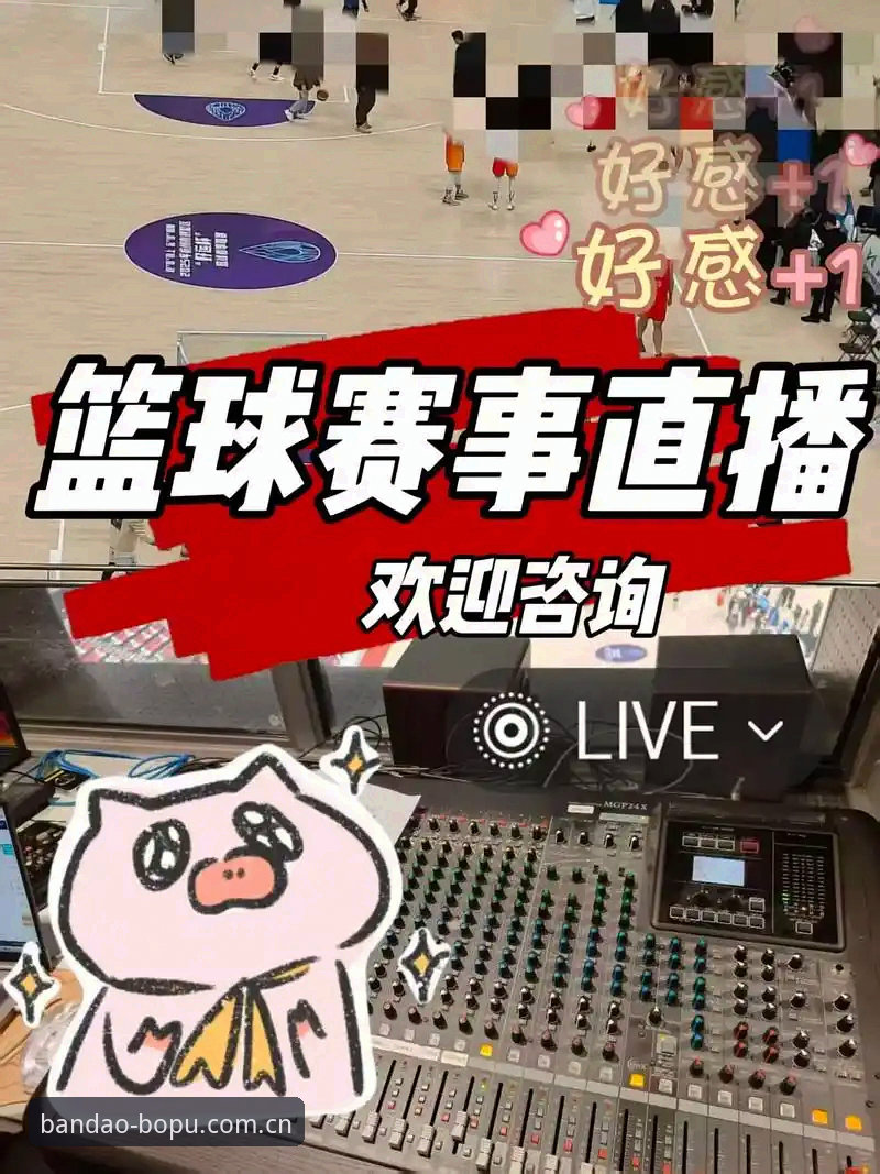 半岛体育赛事观赛新体验：从注册到高清直播的完整指南