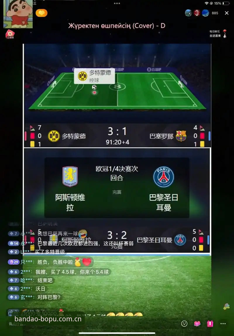 半岛体育平台 vs 半岛BOPU：哪个更适合新手？全面对比与使用体验